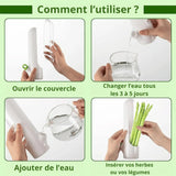 Boite de conservation alimentaire | Grass'Box™ - maison laroche